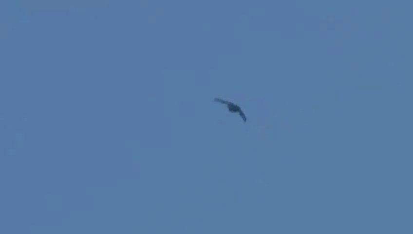 ssstwitter.com_1750278398530.mp4_snapshot_00.01_[2025.06.18_23.26.45].jpg
