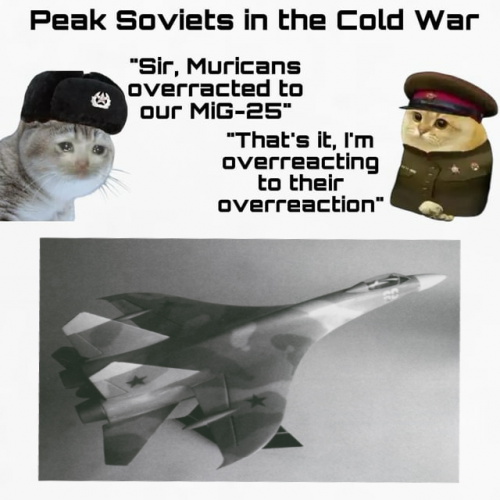 1750443186540.png