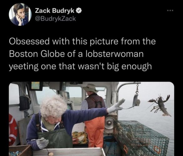 lobsteryeet.jpg