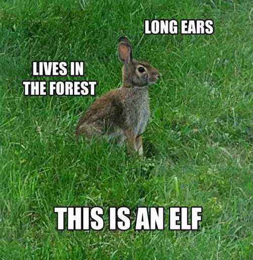 elf.png