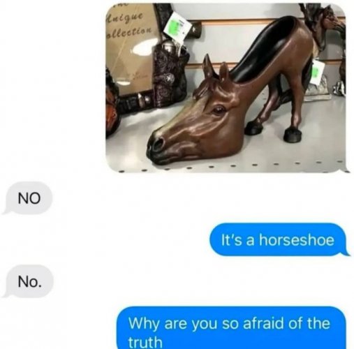 horseshoe.jpg