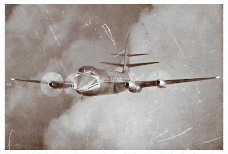 Rutland Reindeer model.jpg