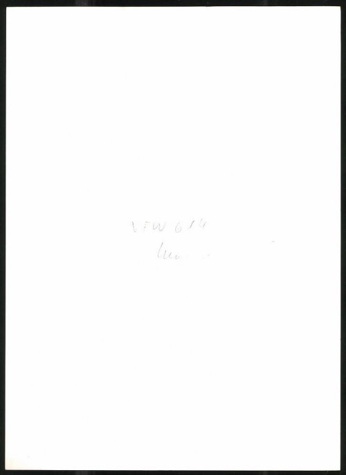 30937636549_2.jpg