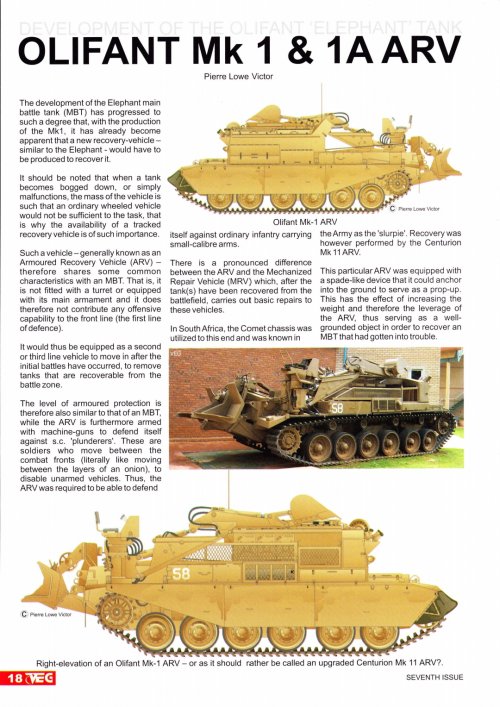 VEG Issue 7 - Olifant ARV_240730_160353_1.jpg