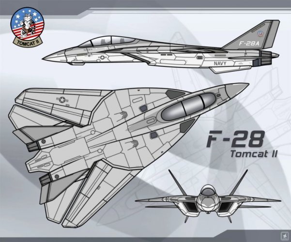 F-28 Tomcat II.jpg