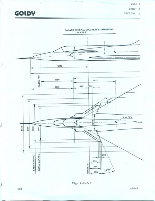 GOLDY Mirage IIIE canard.jpg