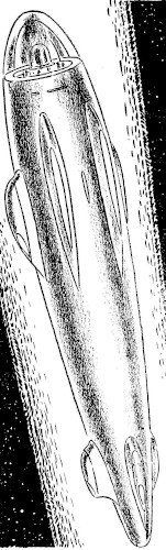 illus14.jpg