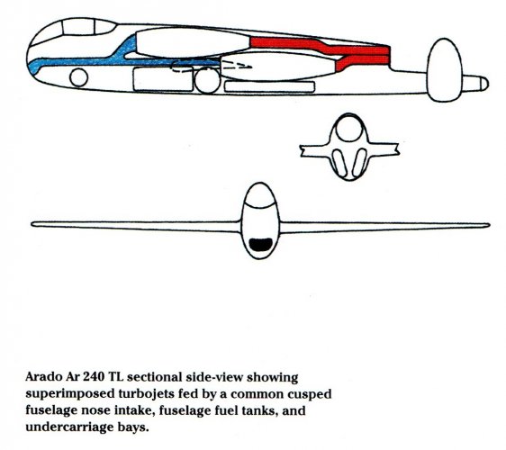244.jpg