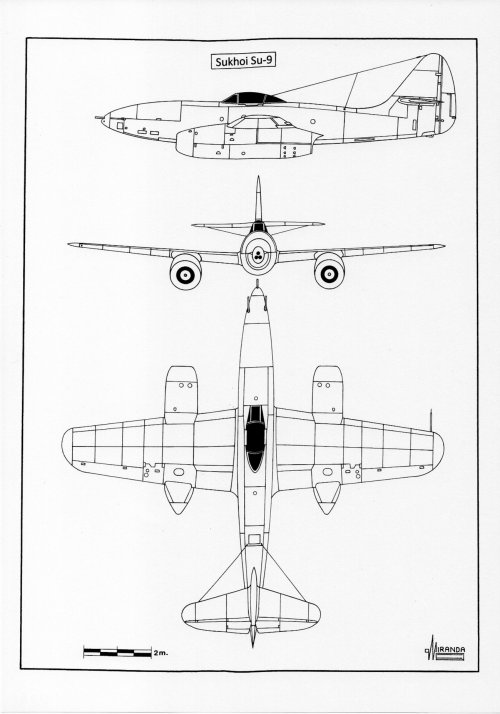 y5000.jpg