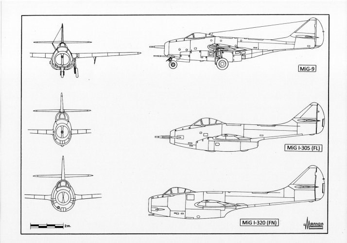 y6000.jpg