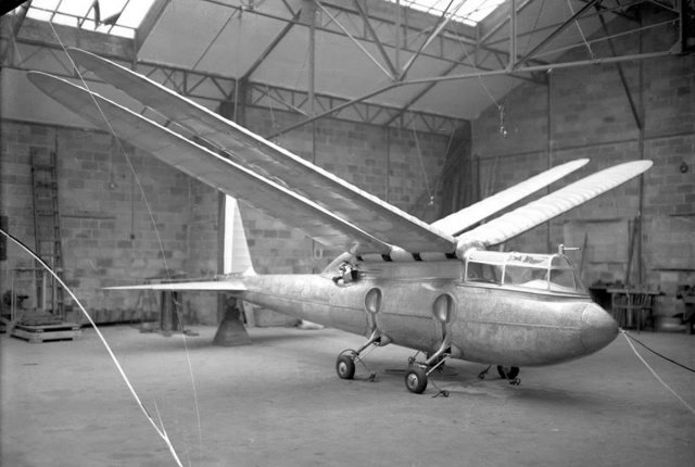 riout-102t-wings-up.jpg