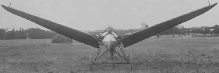DuBois-Riout ornithoptere 1913.jpg