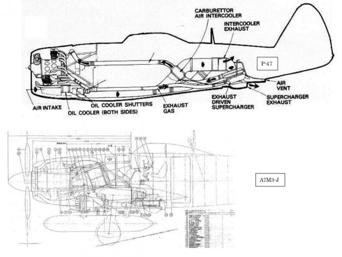 P-47D and A7M3-J.jpg