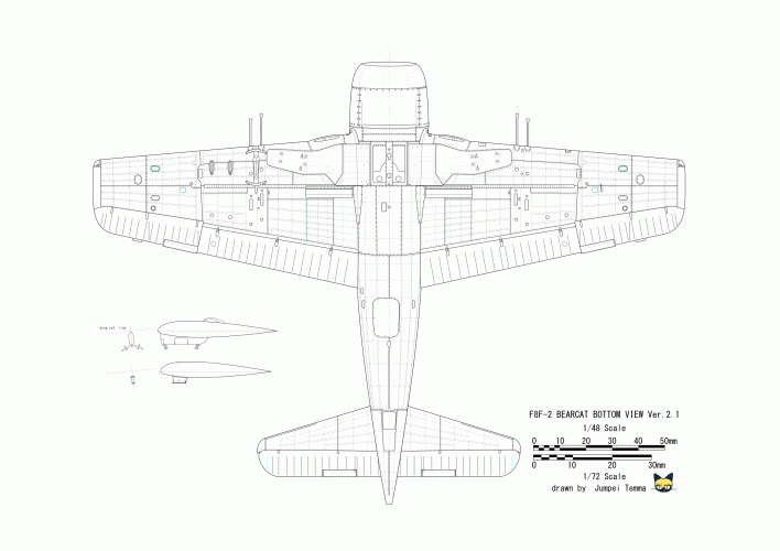 f8f-2_bottom.gif