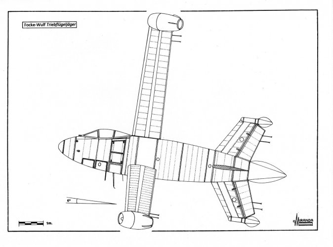 Picture5.jpg