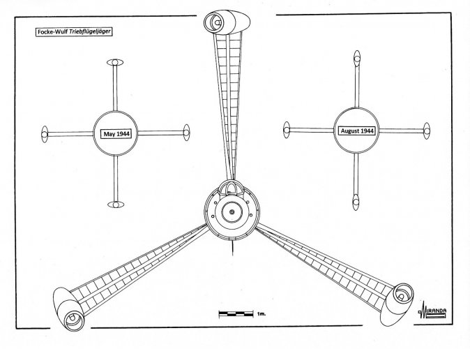 Picture7.jpg