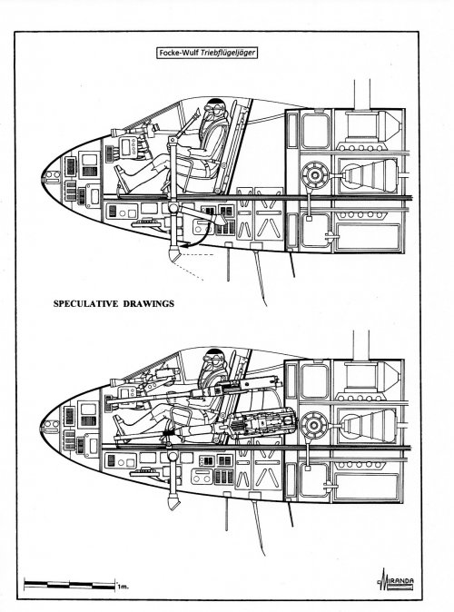 Picture8.jpg