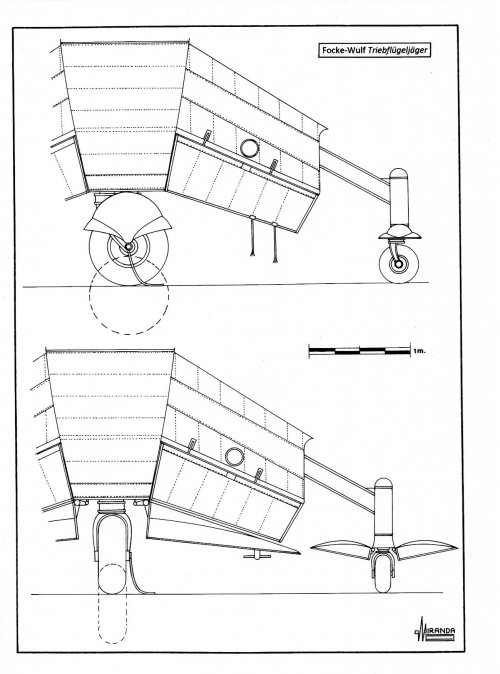 Picture11.jpg