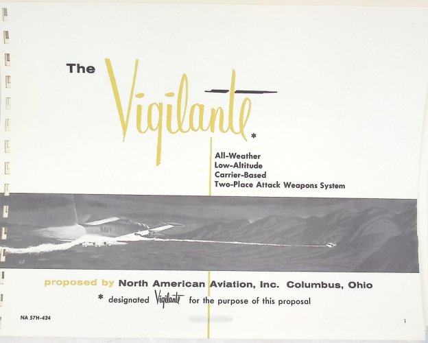 VIGILANTE COVERweb.jpg
