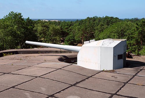 rus_5446.jpg