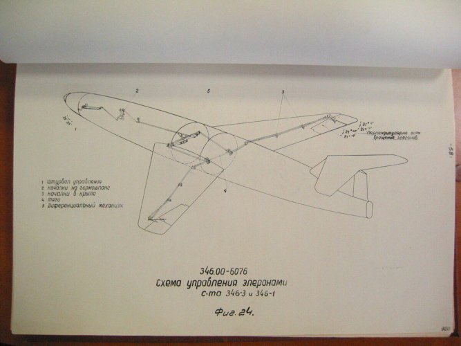 scale_1200 (1).jpg