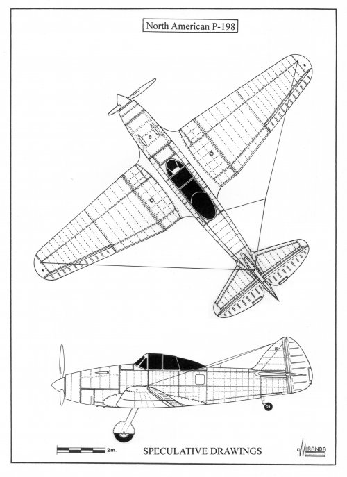 245.jpg