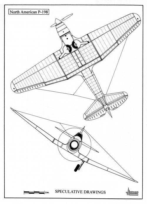248.jpg