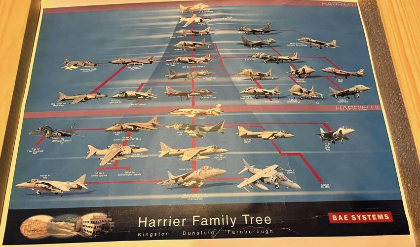 Harrier family tree crop.jpg