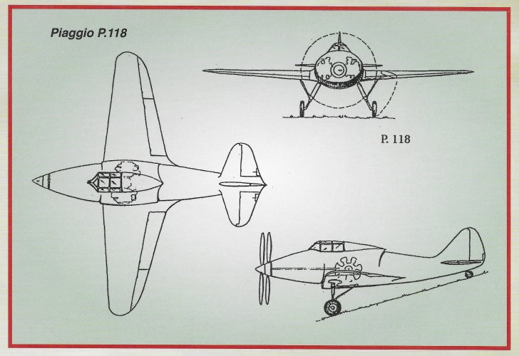 123.jpg