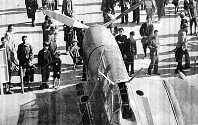 Ju87 in Japanese markings.jpg
