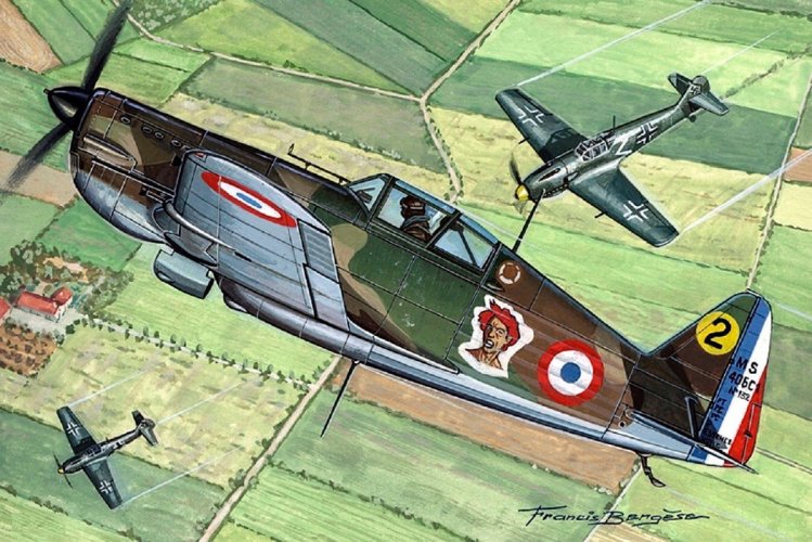 zms406.jpg