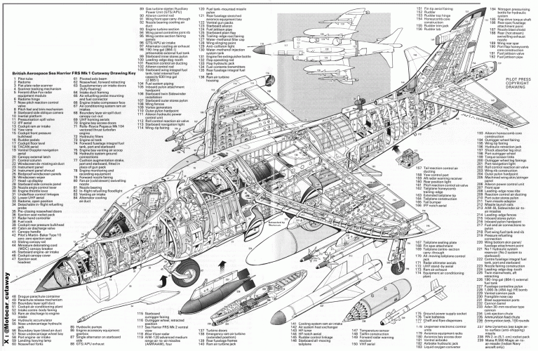 Cutaway Sea Harrier.gif