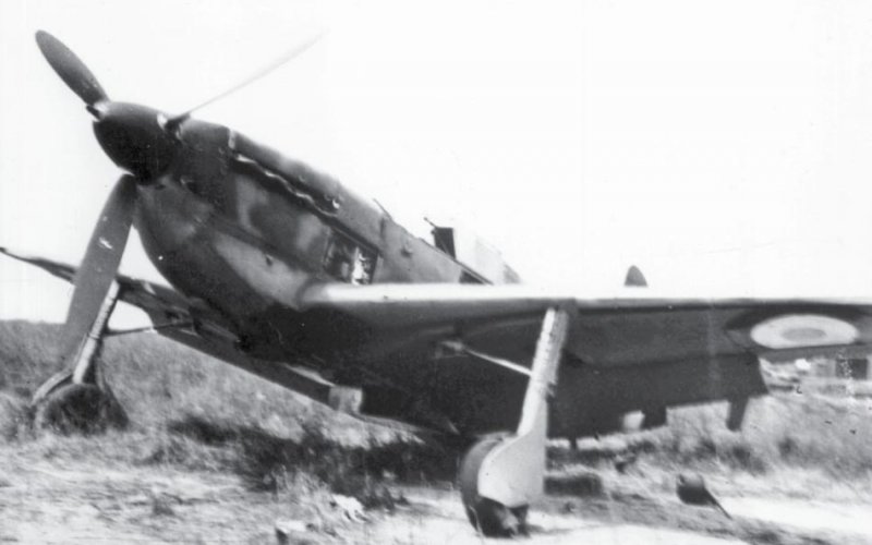 cao200-10.jpg