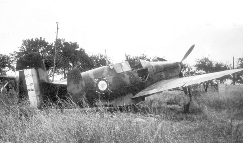 cao200-9.jpg
