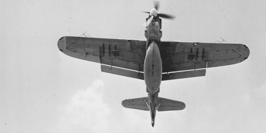 BARRACUDA MX613.JPG