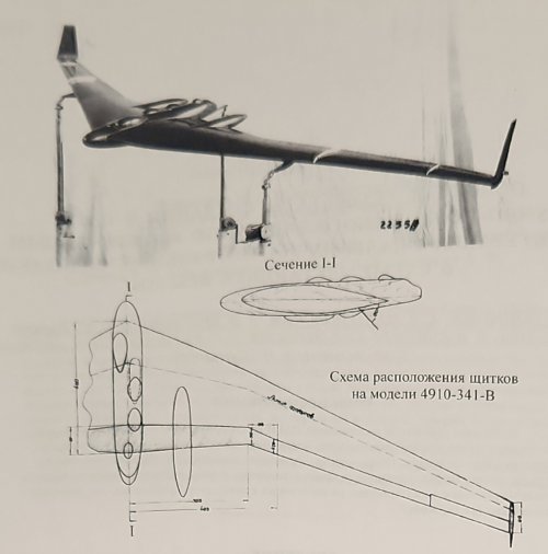 4910.jpg