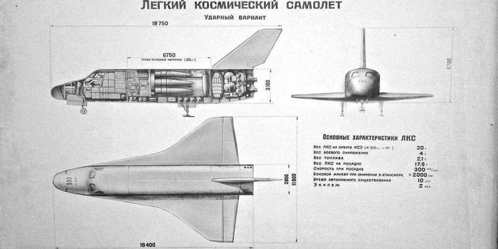 4 (325).jpg