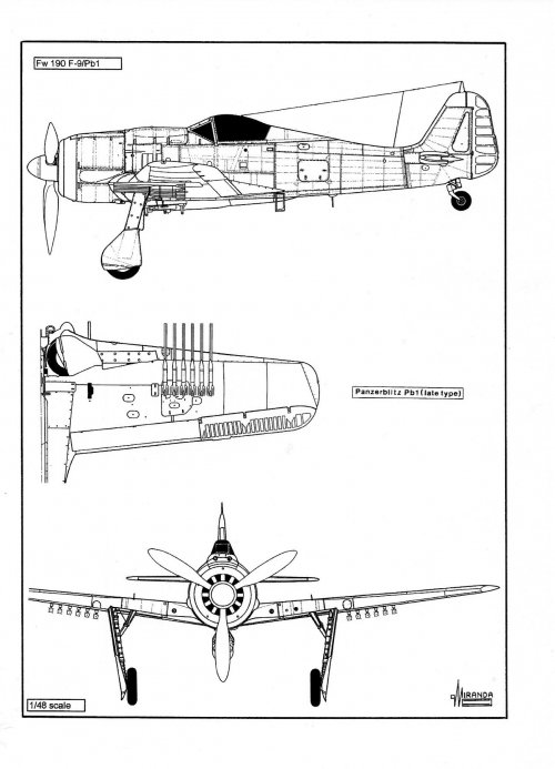 Picture25.jpg