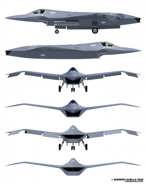 v12121.jpg