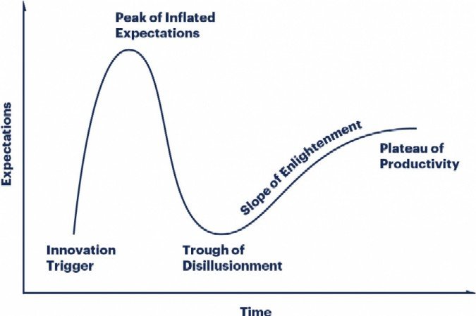 Gartner  Hype Cycle Curve.jpg