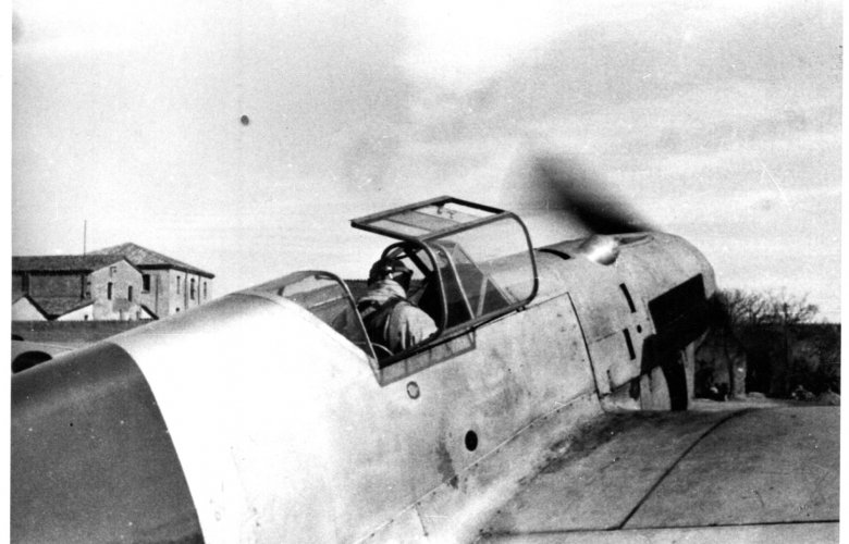 549.jpg