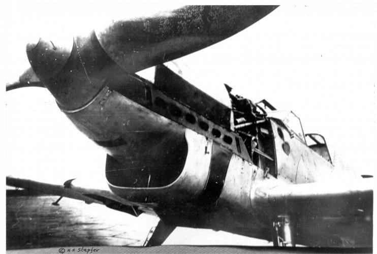 551.jpg
