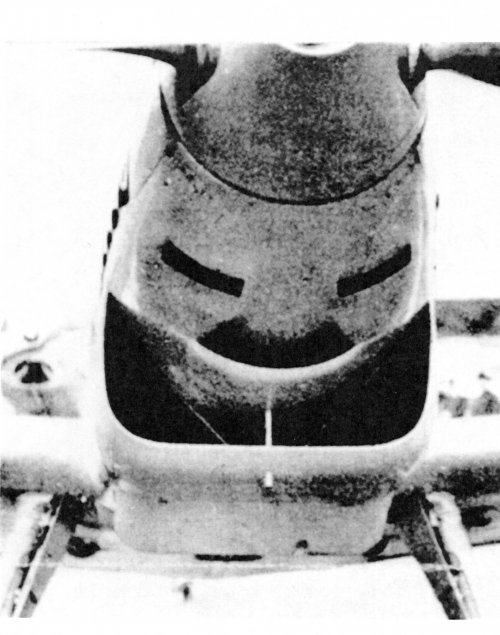 553.jpg