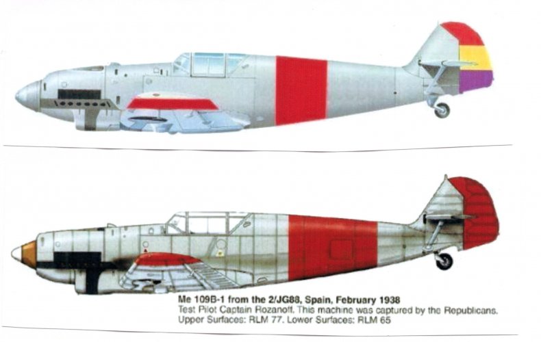 554.jpg