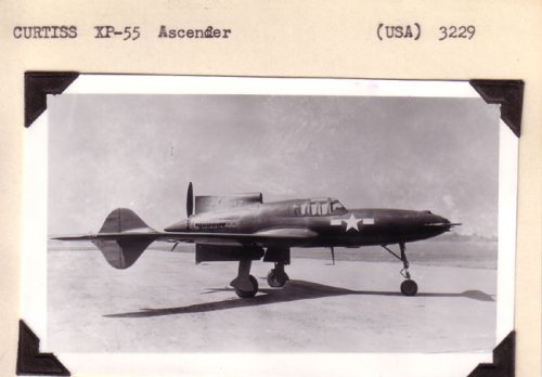 Curtiss-XP55-3.jpg