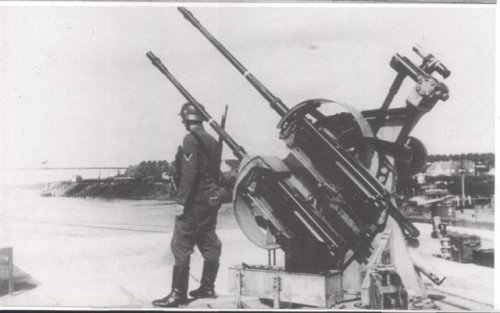 2cmzwillingsflak001.jpg