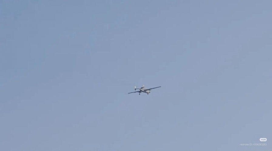 IMG_2700.jpeg
