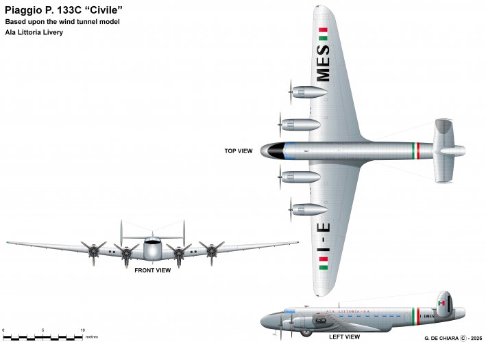 Piaggio P 133C.jpg