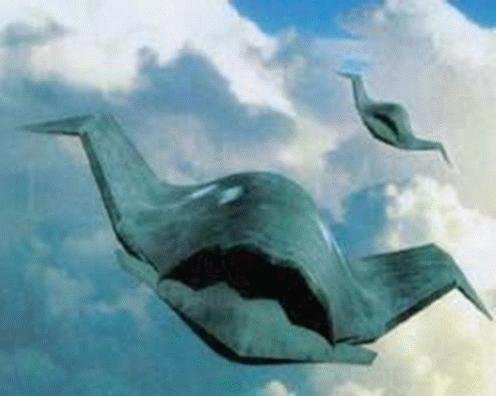 ucav-ng1.jpg