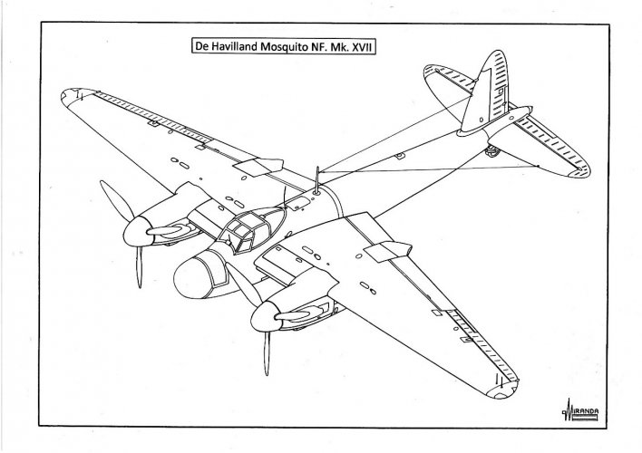 c14.jpg